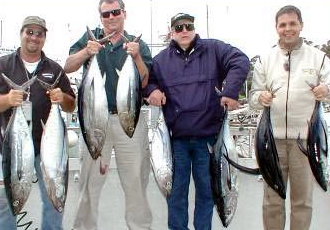 Albacore galore!