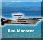 Sea Monster